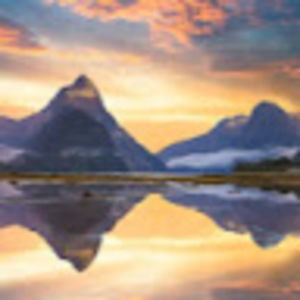 Meet your Posher, Warren